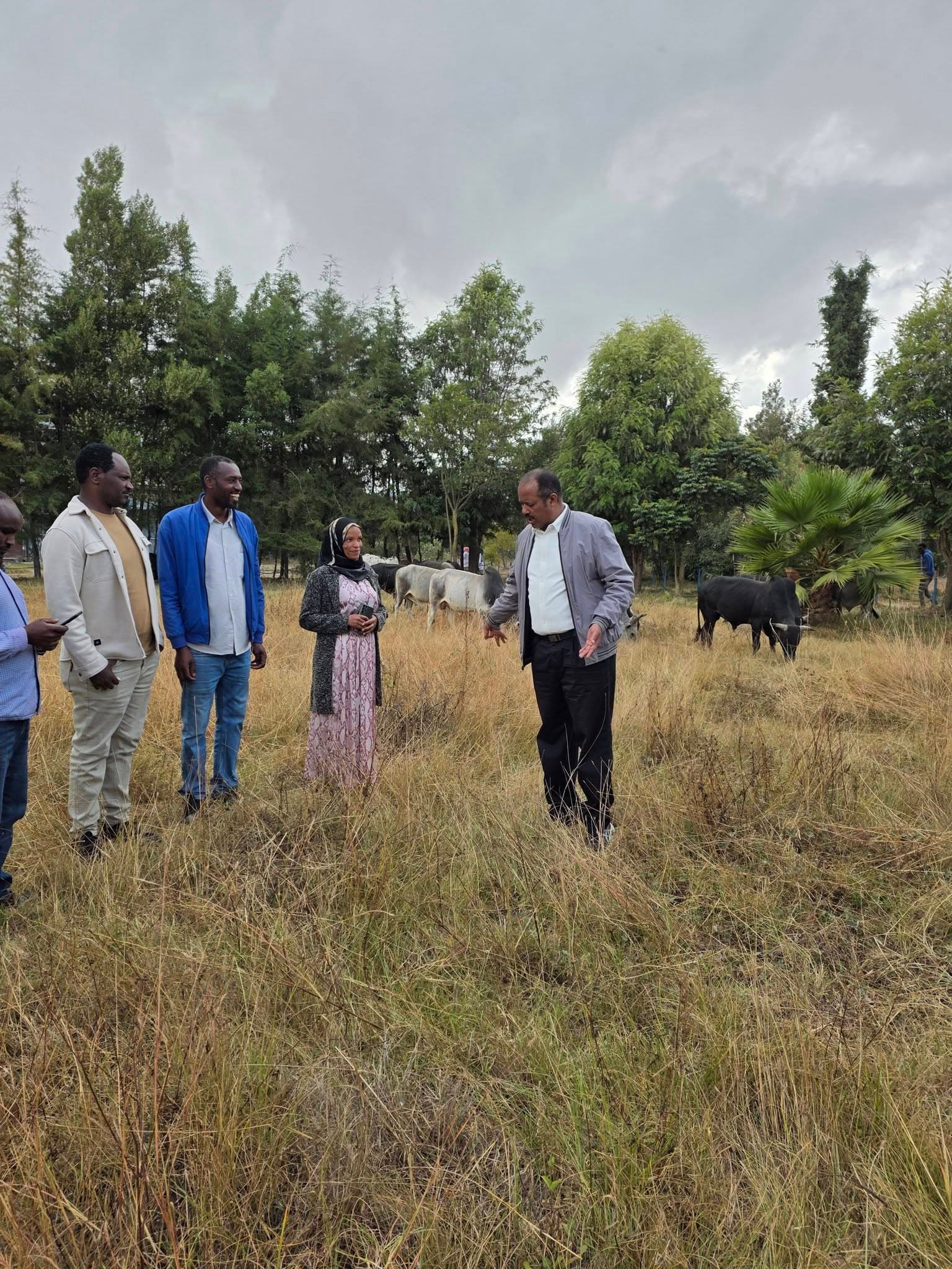 ገቢ ማመንጫ ሥራዎቻችን የተግባር ትምህርቱን እያገዙ ነው