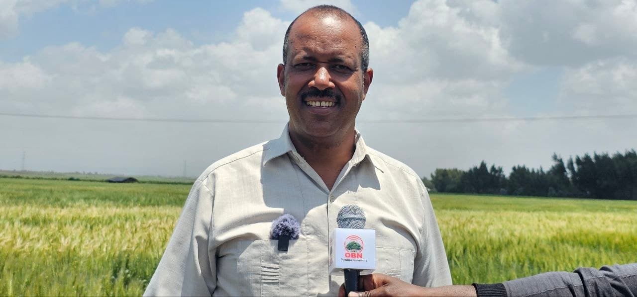 Madda Walabu University has Hosted Field Day on Dry-Season Irrigated Wheat & Potato Large Scale Production